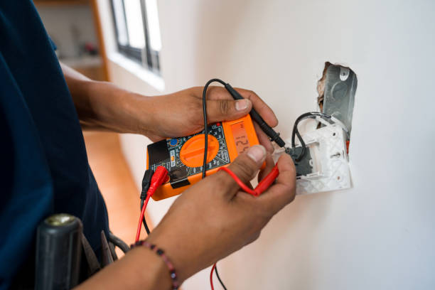 Best Electric Panel Repair  in Sevierville, TN